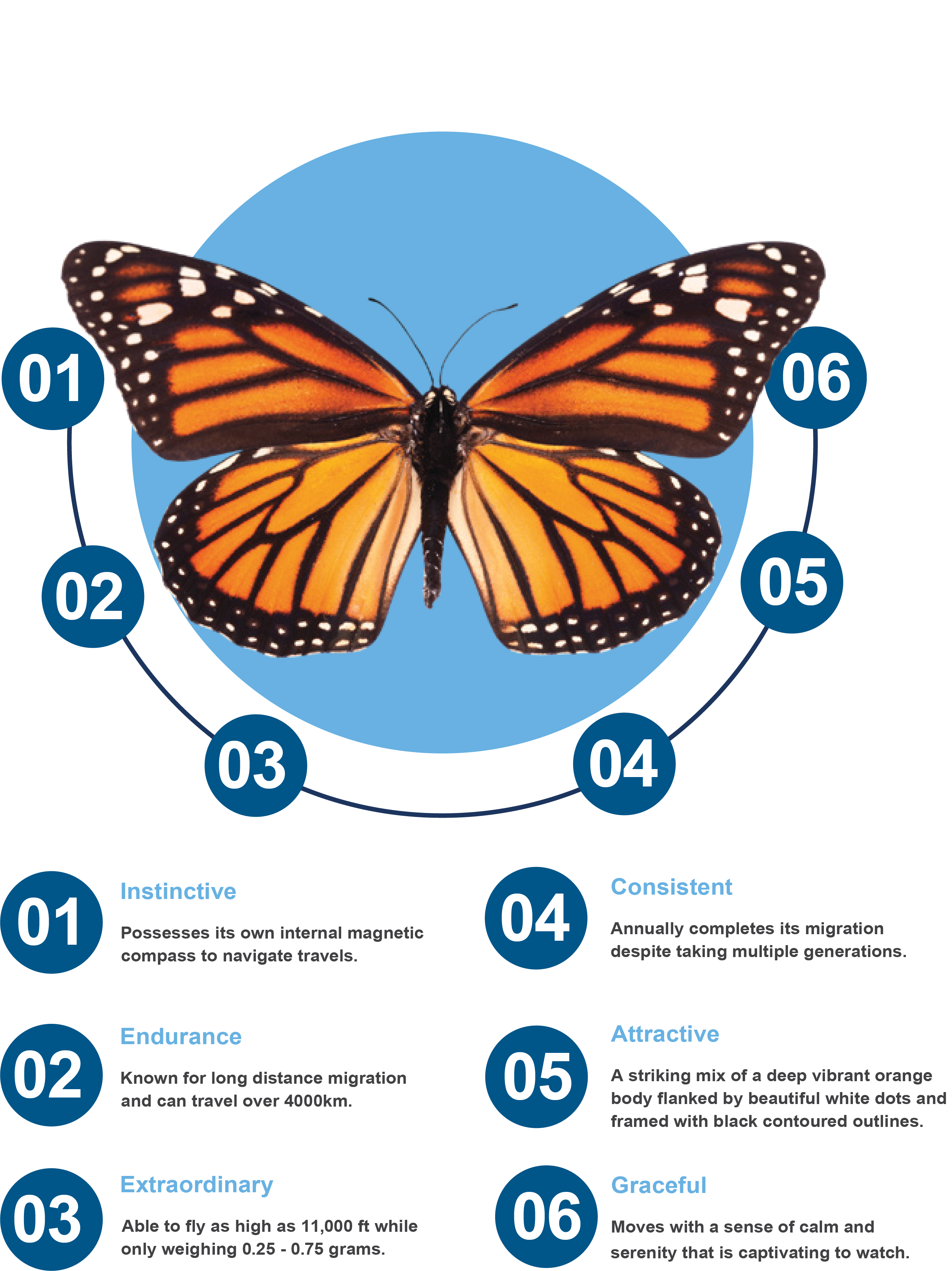 Monarch Attitude
