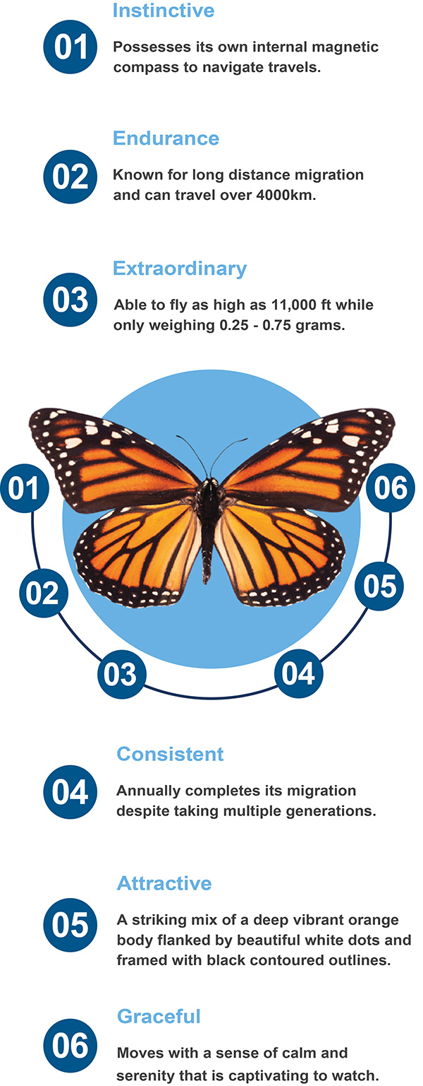 Monarch Attitude
